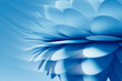 © Westend61 - 3D flower Petals against blue background