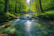 © AbdulHakim - Sunlight Streams Through Trees onto Clear River Flowing Gently Through Forest