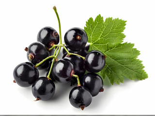 Wall Mural - black currant isolated on white background