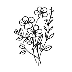  Floral Clipart PNG Bundle Botanical Bouquet png Botanical png Wildflower png