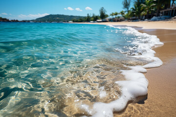 tropical beach with palm trees