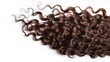 © COK House - Image of chestnut curly hair on white background, showcasing its volume and texture.