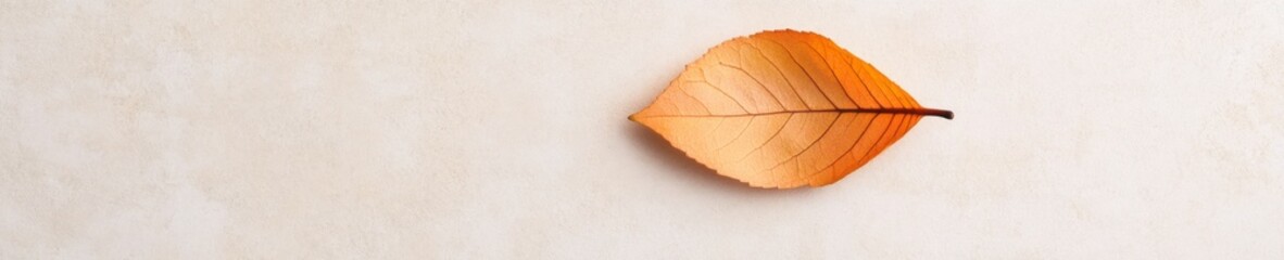 Aufkleber - Serene Autumn Leaf on Softly Lit Background - Mindful Nature Connection in Minimalist Style