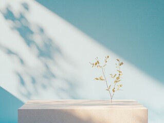 Poster - Minimalist Surrealism with Shadows A Play of Light and Leaves on a Textured Surface