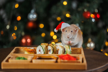 Poster - A colorful rat in a red Santa hat celebrates the New Year. A Christmas tree with a blinking garland and balls. Sushi and rolls on a wooden festive table. Asian cuisine on holiday.