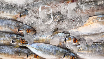 Wall Mural - Fish on ice in the fresh market