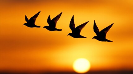 Wall Mural - Silhouettes of Birds in Flight: A serene image of four seagulls in silhouette against a vibrant orange sunset, symbolizing freedom, hope, and the beauty of nature. 