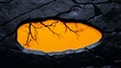© KN Studio - Amber Reflection in Volcanic Rock: Abstract image of a vibrant orange reflection in a smooth, dark volcanic rock pool, showing the silhouette of tree branches.