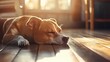 © Narongdet - Sunlit dog relaxing on wooden floor cozy home interior animal warm atmosphere close-up serenity