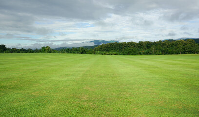Wall Mural - landscape of green grass field and sky with mountain