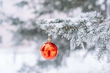 Wall Mural - red glasses bauble on christmas tree with snow outdoor.
