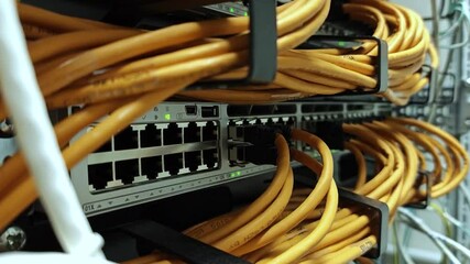 Wall Mural - data center flickering light indicators for massive data connection bandwidth. close up.