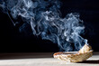 © Brenda - a smudging ritual with a shell containing burning sage or palo santo, emitting thick, swirling smoke against a dark background, creating a serene, mystical atmosphere.