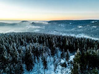 Wall Mural - Winterwanderung durch den Thüringer Wald bei Oberhof zur Blaue Stunde - Thüringen - Deutschland