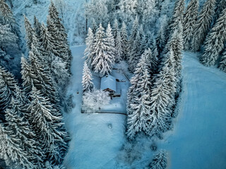 Wall Mural - Winterwanderung durch den Thüringer Wald bei Oberhof zur Blaue Stunde - Thüringen - Deutschland