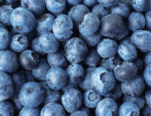 Canvas Print - Top view blueberries. Blueberries as a background