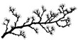 © designknowledge - Witch hazel branches with spidery flowers against a grey sky, Plant Vector Graphic