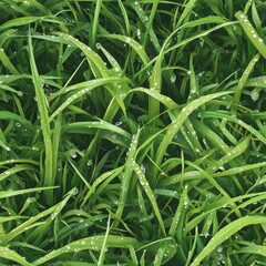 Canvas Print - Photo of freshly watered grass, seamless texture, with small dew drops sparkling under soft sunlight