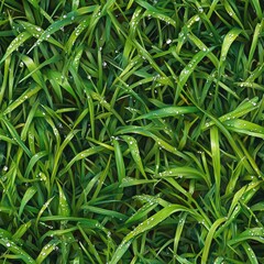 Canvas Print - Photo of freshly watered grass, seamless texture, with small dew drops sparkling under soft sunlight