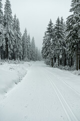 Wall Mural - Winterwanderung durch den Thüringer Wald bei Oberhof und dem Kanzlersgrund bei winterlichen Wetter - Thüringen - Deutschland