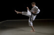 © Ben Gingell - Teenage Male Karate Black Belt