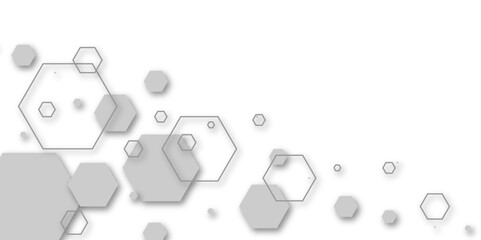 Abstract white and grey hexagon technology geometric pattern concept white background. Use for template, wallpaper, website vector illustration.