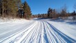 © Archil - A serene snowy path flanked by forested trees glistens under clear blue skies, perfect for winter adventures.