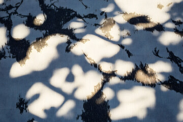 Wall Mural - the shadow of the sun shining through the wood