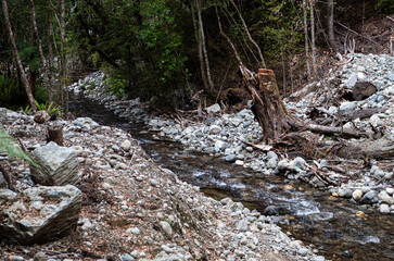 Wall Mural - Small river stream mountain altitude te anau new zealand fiordland beautiful nature