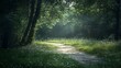 © atar - Sunlight Path Through a Peaceful Forest. Concept of serenity, nature, and tranquility.