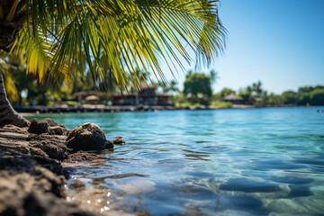 tropical beach with palm trees