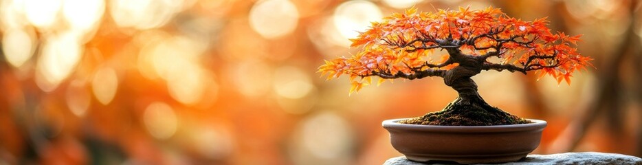 Aufkleber - Autumnal bonsai tree with vibrant orange leaves.