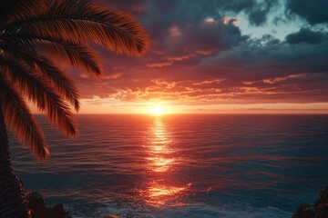 Poster - Sunset over ocean with palm tree