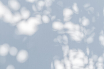 Wall Mural - Abstract natural tree leaves shadow on white wall background