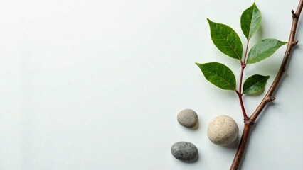 Wall Mural - Botanical Twig Background, Pebbles, Leaves, White, Text Space, Depth, Mood, Lighting, Style, Quality