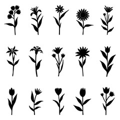Wall Mural - collection of black floral silhouette designs featuring various flowers on a white background.