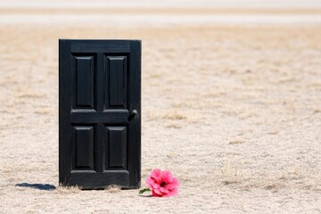 Canvas Print - Black door in desert landscape with pink flower.