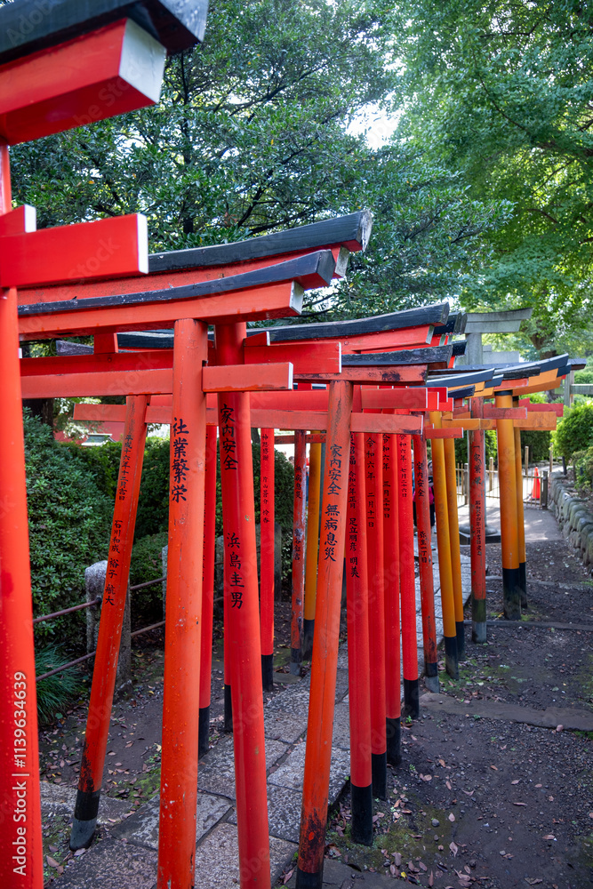 Red tori gates line a pathway in a park. Stock Photo | Adobe Stock