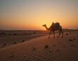 © Q-collection - Camels in the desert at sunset with a silhouette of a caravan against the dunes
