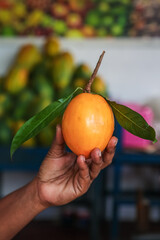 Male hand holding yellow tropical fruit