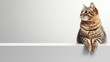 © Ketobox - Cat Relaxing on a Minimalist Surface with Soft Color Background for Interiors