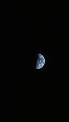 Wall Mural - earth in space