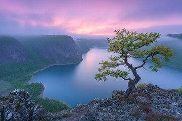 Poster - A serene landscape featuring a lone tree overlooking a tranquil lake at sunrise.