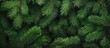 © DigitalDruid - Festive backdrop of lush green pine tree branches ideal for holiday season decorations and winter-themed designs