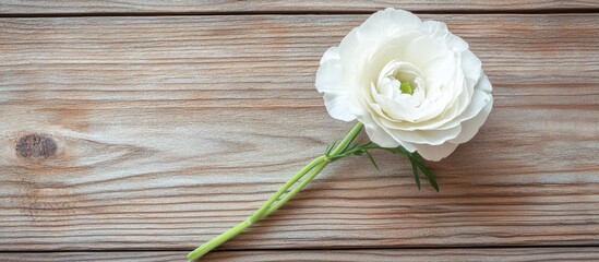 Sticker - Elegant white Lisianthus flower resting on rustic wooden surface showcasing natural beauty and simplicity in floral arrangements