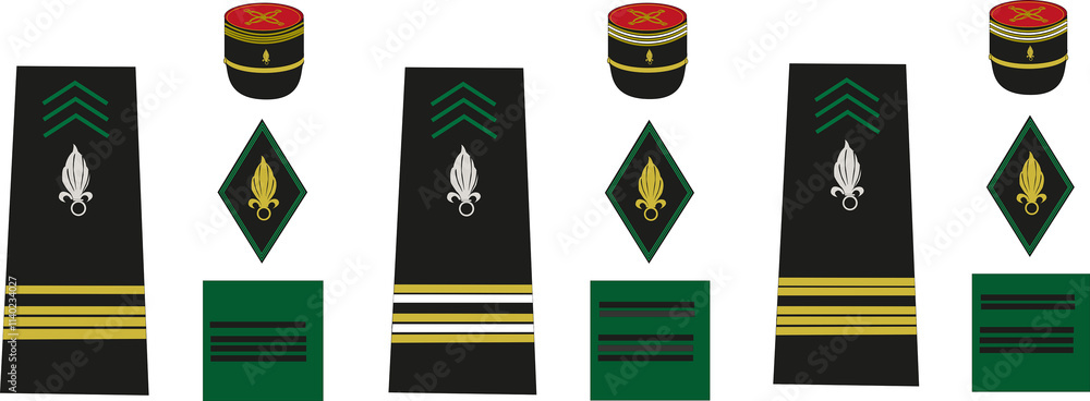 Écusson Brodé Légion étrangère Française - 8x8 Cm, Pour Sacs, Vestes, équipement Militaire