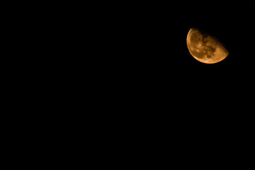 moon in the night
