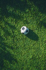 Wall Mural - Soccer Ball Isolated on Green Turf 