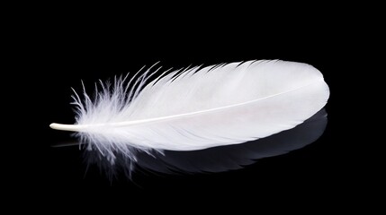 Wall Mural - A serene white feather resting on a reflective black background in minimalist still life photography