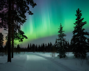 Wall Mural - Landscape with northern lights	